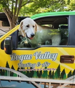 mascot - dog of Rogue Valley